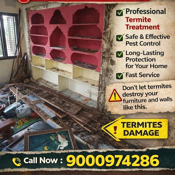 #Termite treatment near me #te