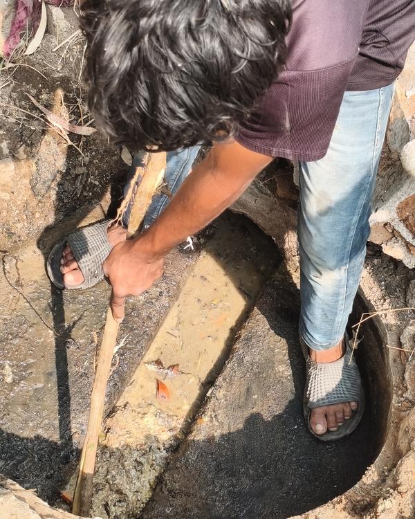 Searching for Reliable Septic