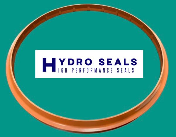 FKM / Viton® Hydraulic Seals are high-performance 