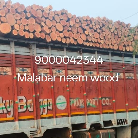 AllMalabar Neem Buyer Mel