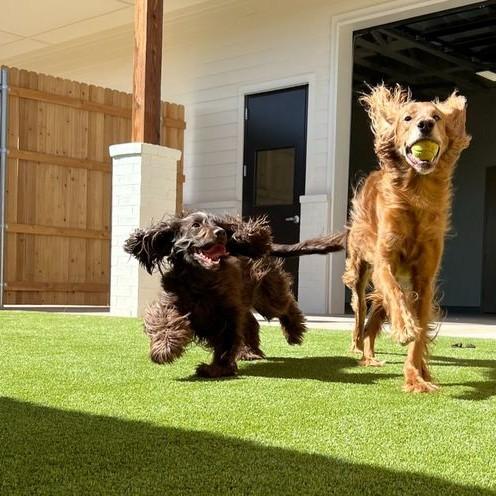 Why Government Registration fo