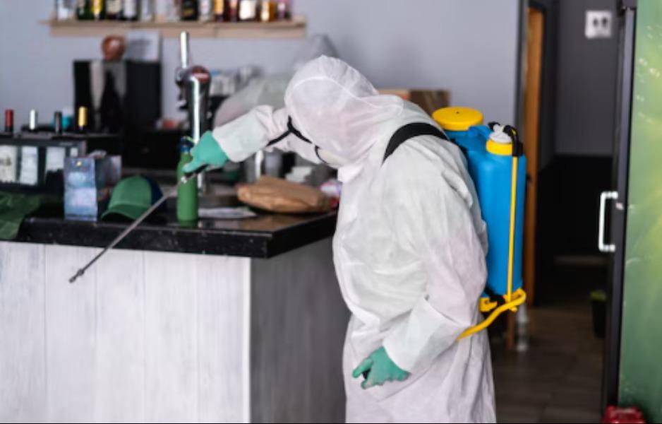 Pestcontrol near me at Warje i