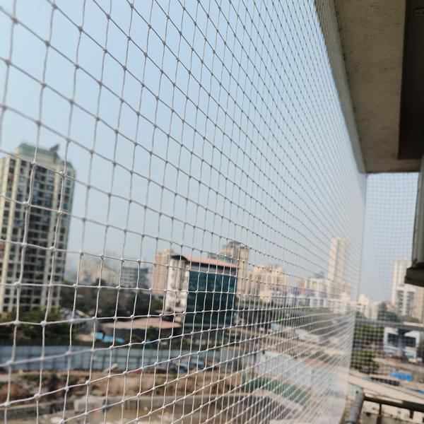 SOHAM BIRD PRO SERVICES 🔹 Bir