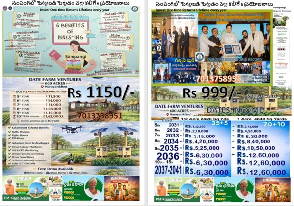 సంపంగి గ్రూప్ - డేట్ ఫార్మ్ వె