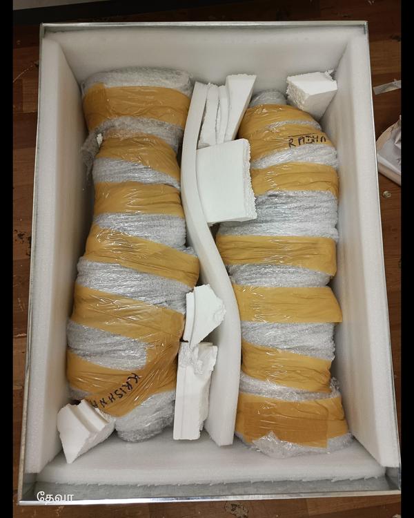 Express international courier 