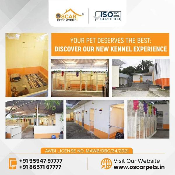 Pet Consultation Service by Os