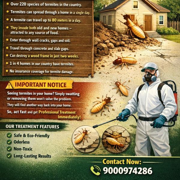 #Termite service near by #pest