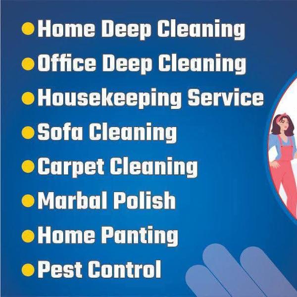 expert carpet cleaning mumbai