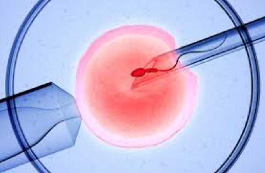 IVF treatment, or in vitro fer