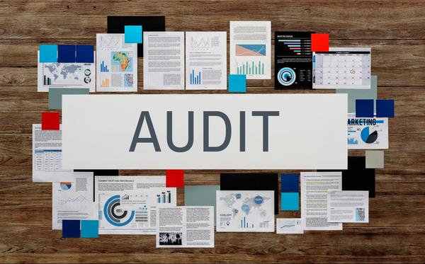 Auditing Services play a cruci