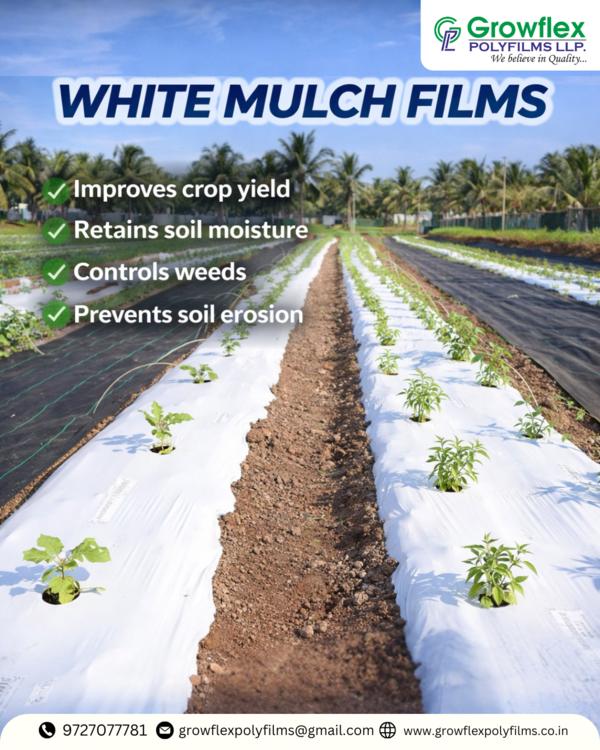 Growflex Polyfilms LLP is a well-known name in the