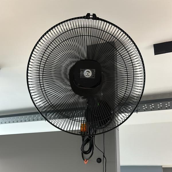 Down lights have become one of