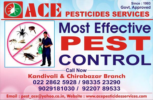 ACE PESTICIDES SERVICES Offer 