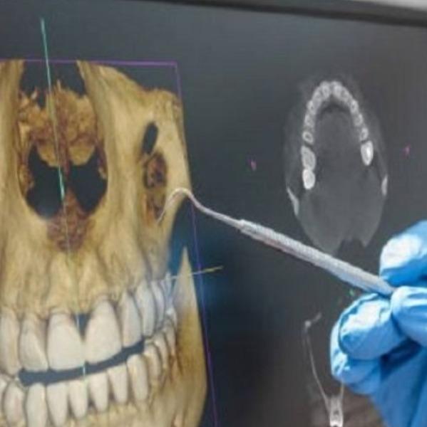 


CBCT near me
C-8/193 sec 8 