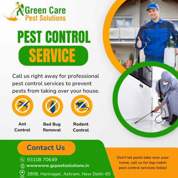 Ant Control Service 

Ants may