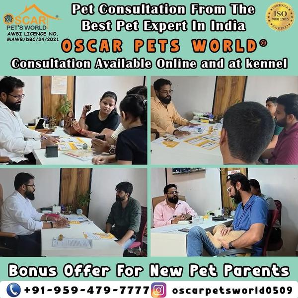 Welcome to Oscar Pet’s World®,