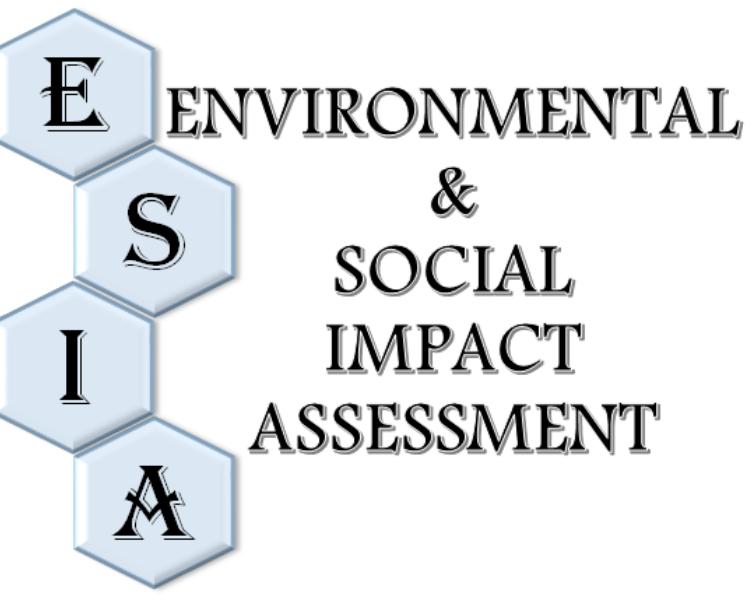 environment impact assessment 