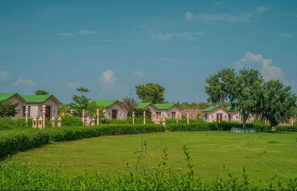 Celebrate your wedding at Sans