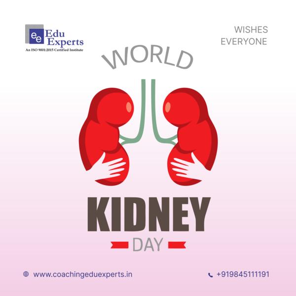 💙 On World Kidney Day, l
