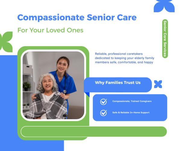 Senior Citizen Care Taker Serv