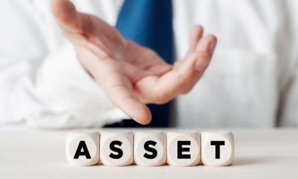ASSETS VERIFICATION SERVICES 