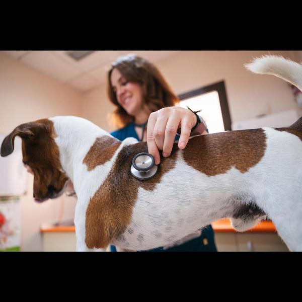 Regular health check-ups at ou