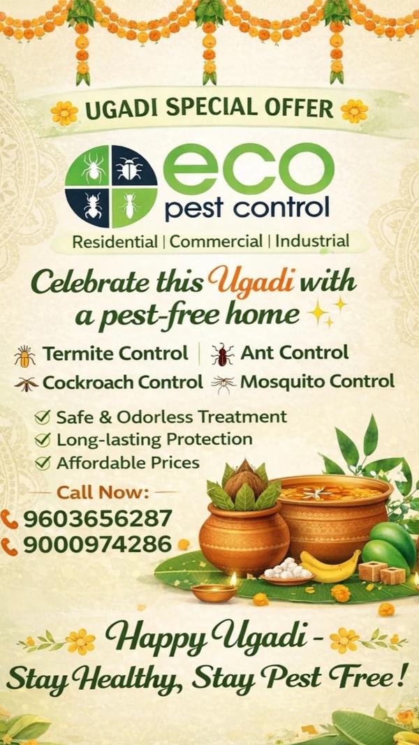 Termite service near by,best p