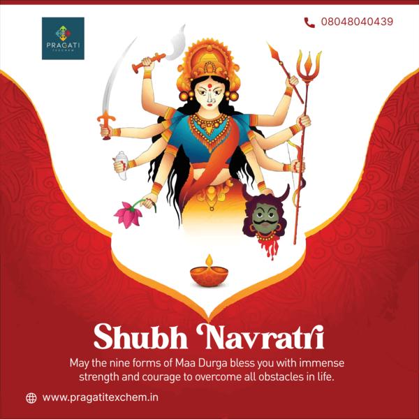 🌸🪔 Shubh Navratri! May Maa D