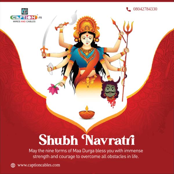 🌸🪔 Shubh Navratri! May Maa Durga bless you with 