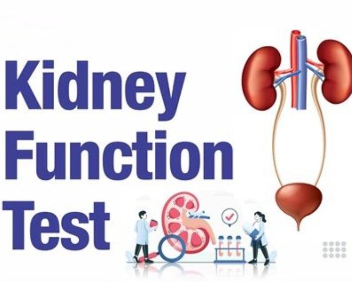 


KFT Test (Kidney Function T
