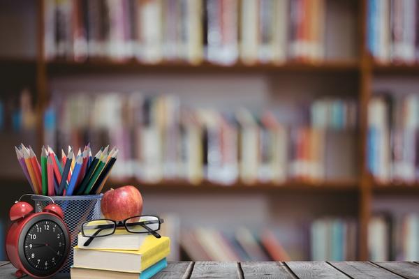 Best School in Saraswati 