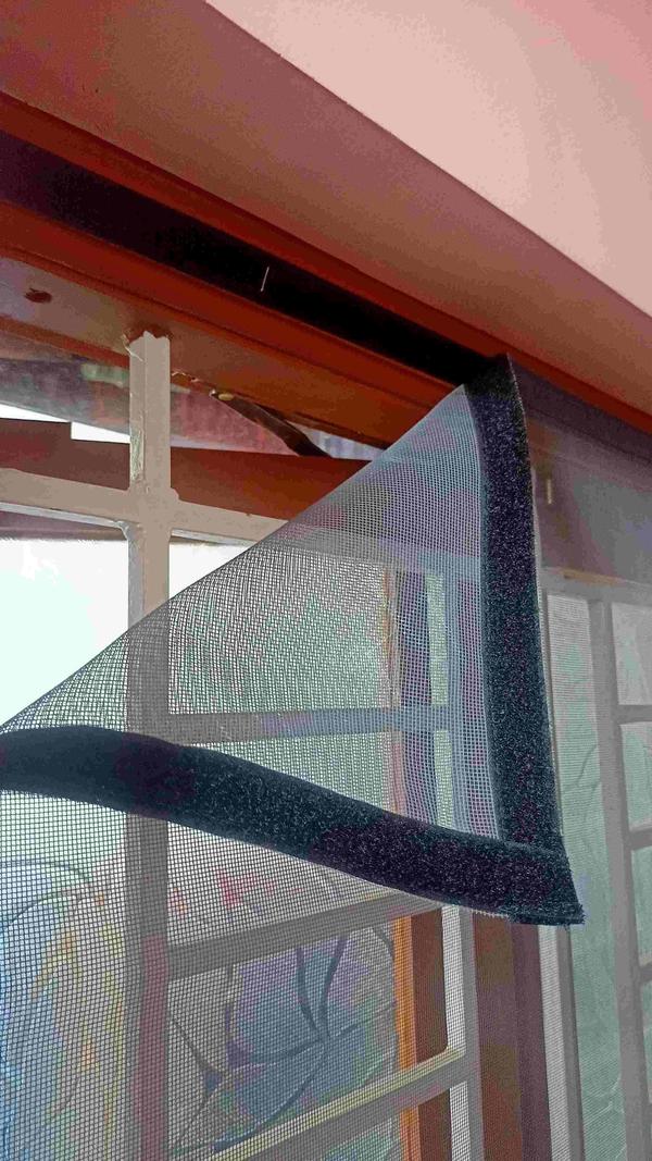 நாங்கள் ரிச்சி கர்ட்டன்ஸ் திரு