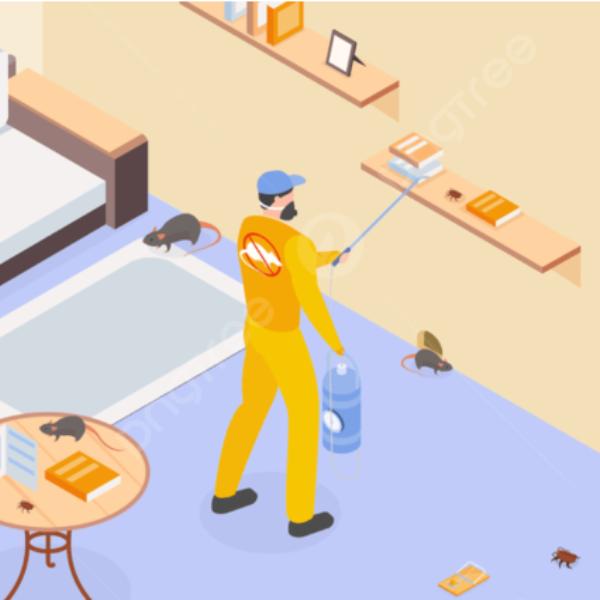 Cockroaches are more than just