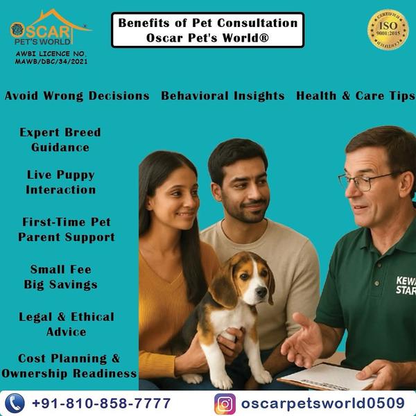 “We also offer:” ✔ Online pet 