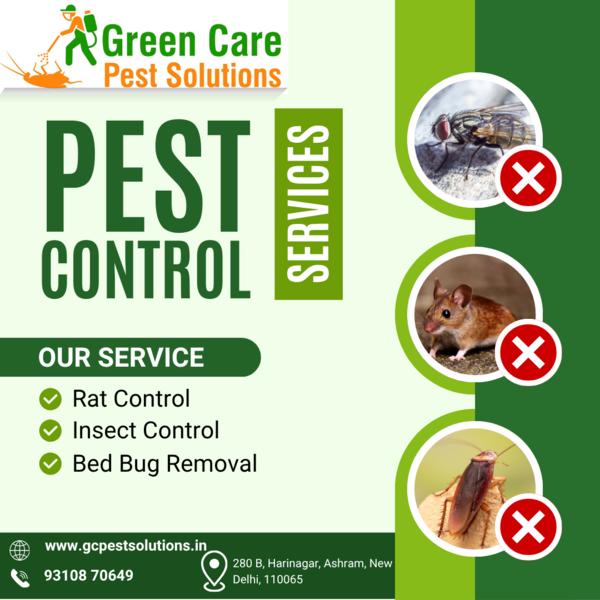 Bed Bug Control in Lajpat Naga