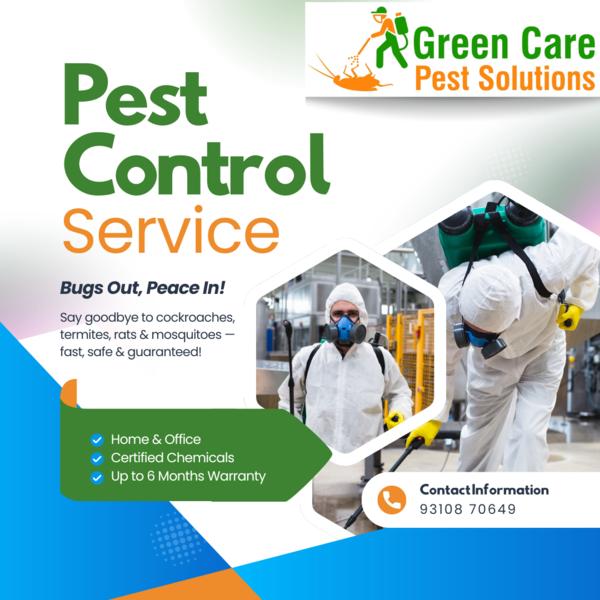 Rat Control in Lajpat Nagar