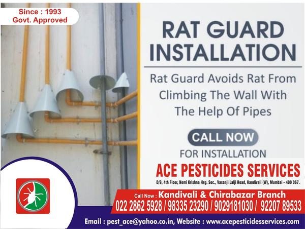 ACE PESTICIDES-POPULAR RESIDEN