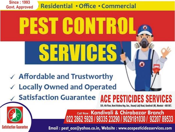 ACE PESTICIDES SERVICES-We're 