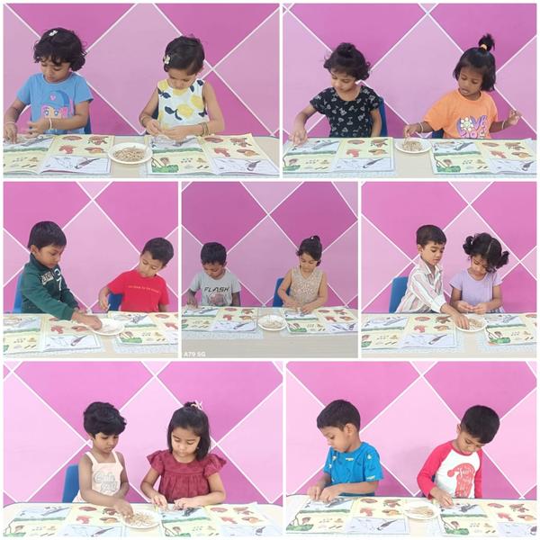 the best montessori pre s