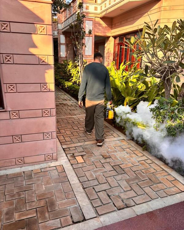 Pest Control In Jaipur Pe