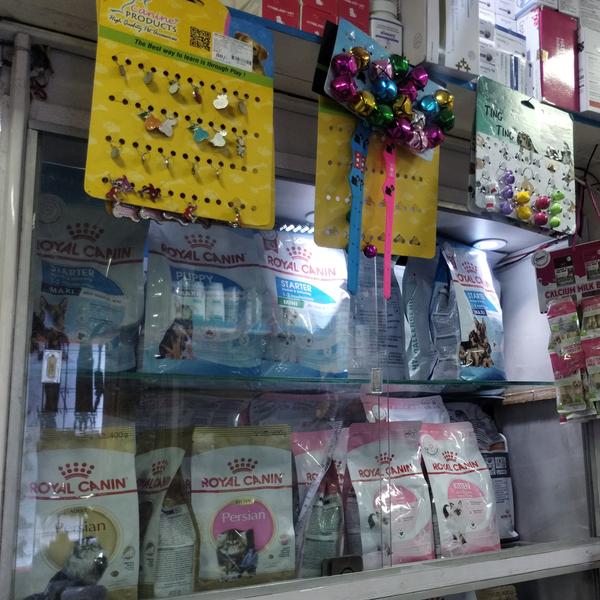 The best pet accessories help 