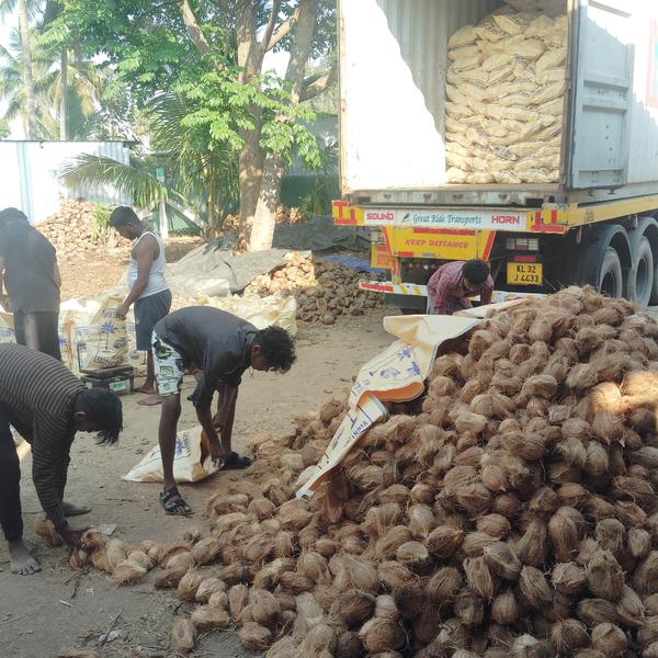 Pollachi export brown coc