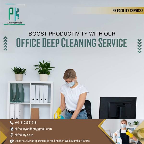 professional cleaning services