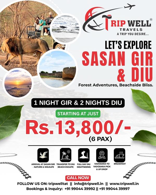 🌿 Escape Into the Wild & Wave