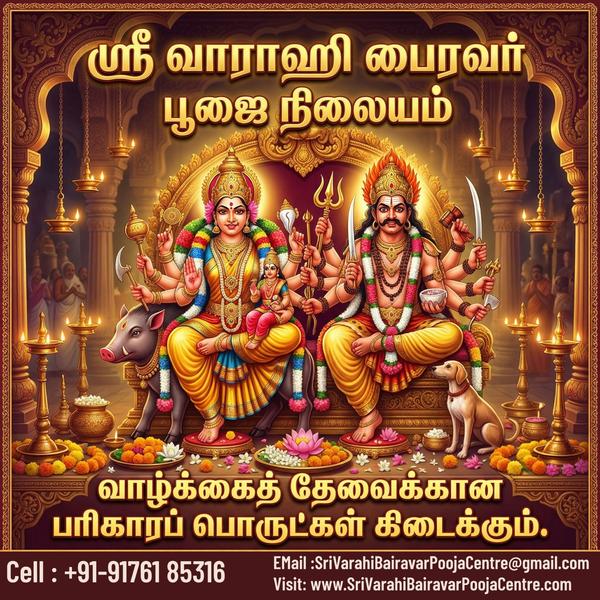 🦜 வாழ்க்கையில் பிரச்னைகளைத் த