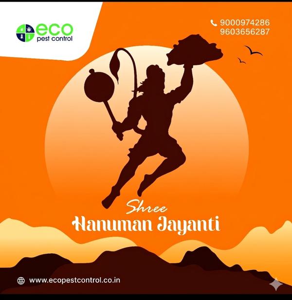 Anti Termite treatment near by