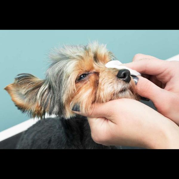 Eye cleaning at our Chembur Pe