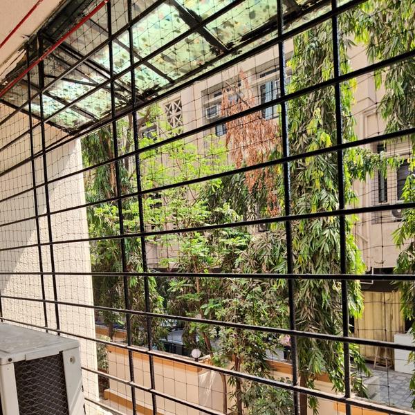 safe strong bird net solutions