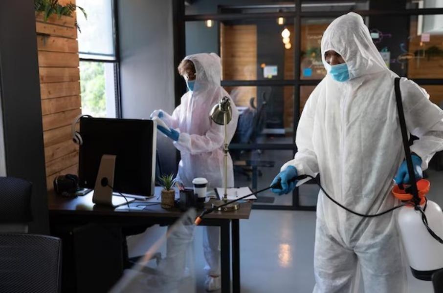 Pestcontrol for corporate offi