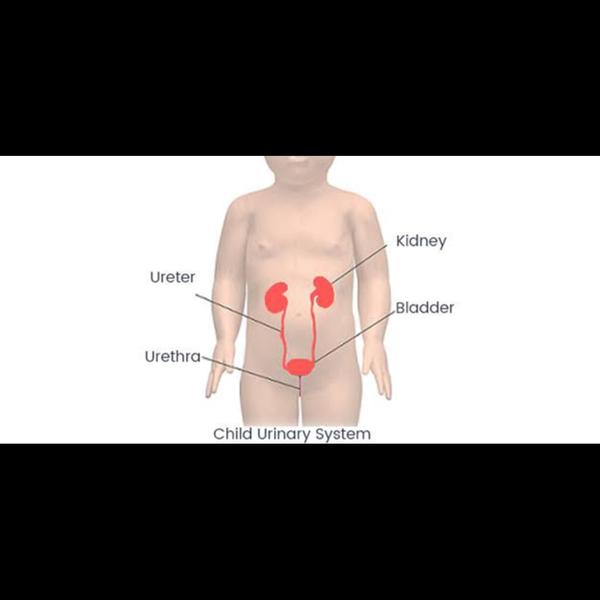 paediatric thoracic surgery pu